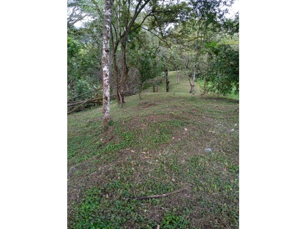 Lote en venta Antioquia San Jerónimo San Jerónimo 11303 m2 Habitaciones 0 Baños 0 Garajes 0 Precio $500000000