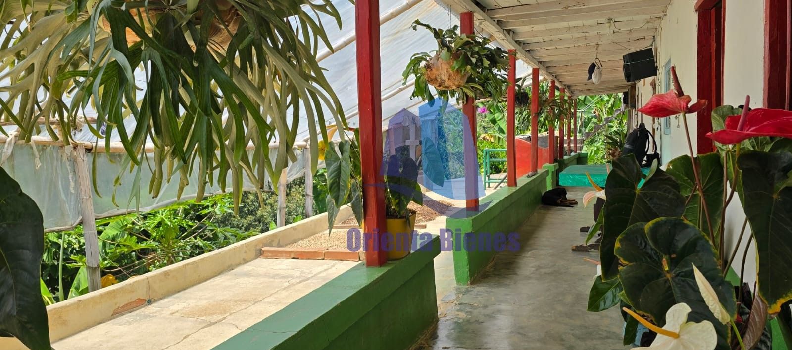 Finca en venta Antioquia La Ceja Fray Eugenio Ramírez 90 m2 Habitaciones 3 Baños 0 Garajes 1 Precio $250000000