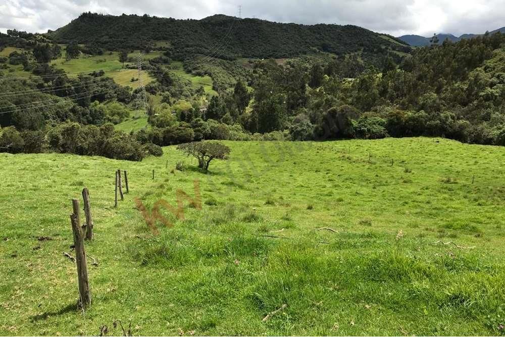 Finca en venta Cundinamarca Guasca Guasca 192000 m2 Habitaciones 0 Baños 0 Garajes 1 Precio $2100000000