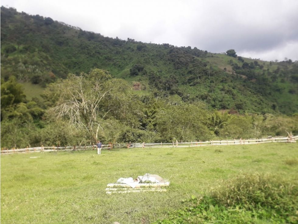 Lote en venta Caldas Manizales Manizales 1500 m2 Habitaciones 0 Baños 0 Garajes 0 Precio $250000000