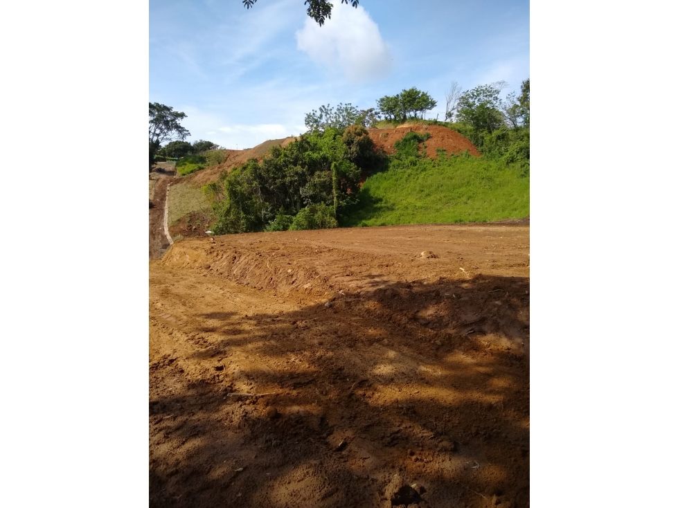 Lote en venta Caldas Palestina Palestina 2500 m2 Habitaciones 0 Baños 0 Garajes 0 Precio $280000000