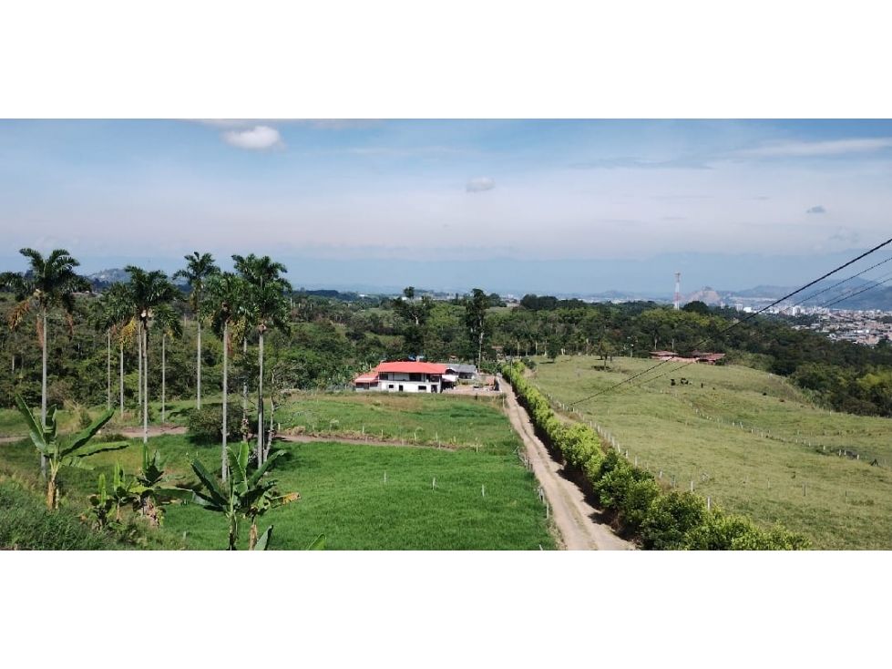 Lote en venta Risaralda Pereira San Jose 1223 m2 Habitaciones 0 Baños 0 Garajes 0 Precio $390000000