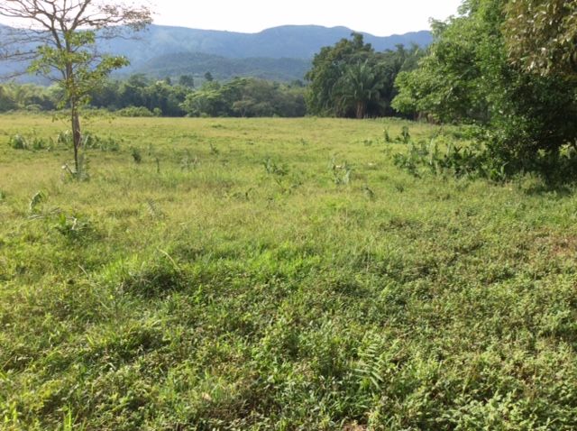 Lote en venta Tolima Carmen De Apicalá Carmen De Apicalá 0 m2 Habitaciones 0 Baños 10 Garajes 1 Precio $290000000