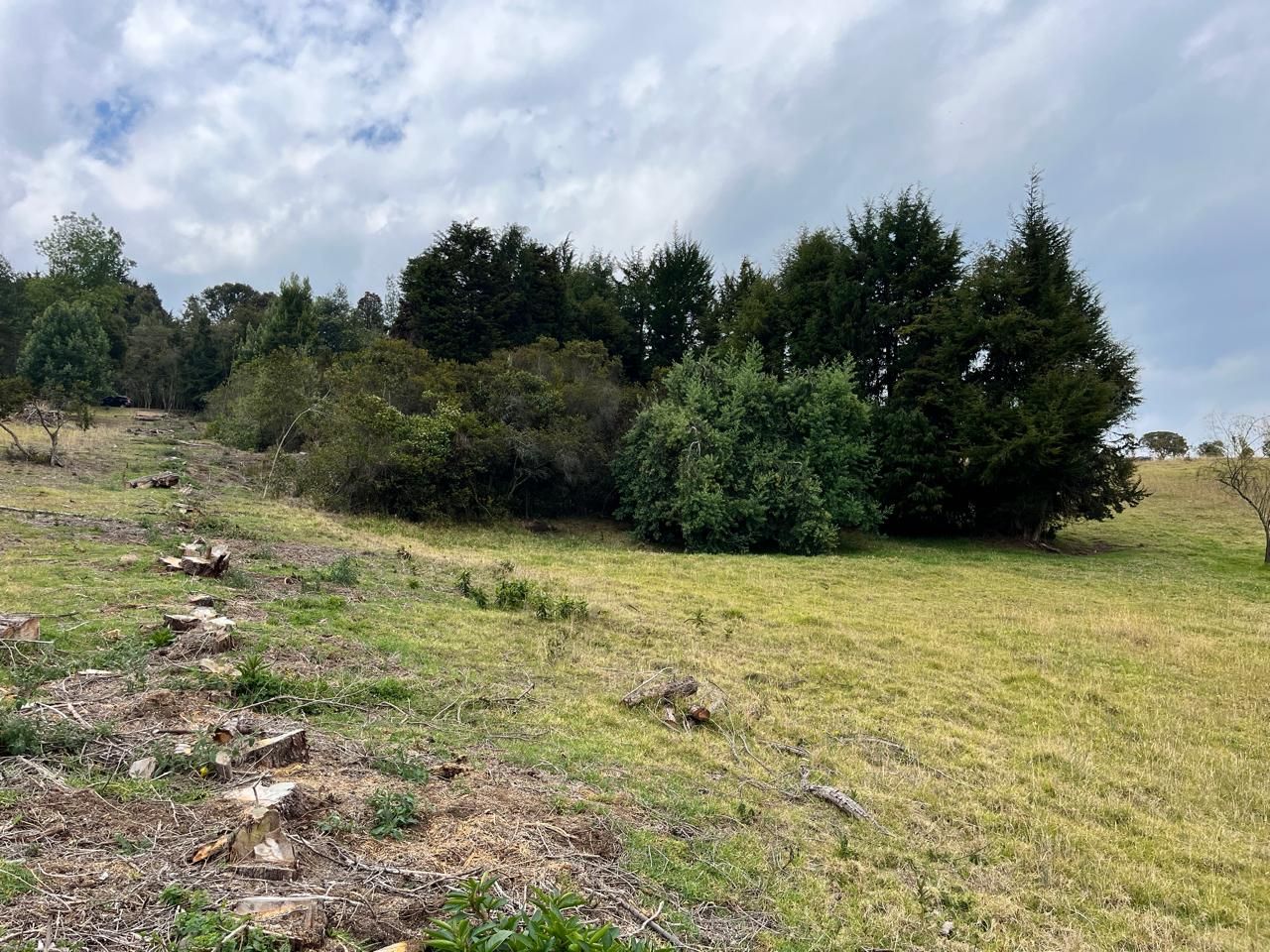 Lote en venta Cundinamarca Chía Chia 10000 m2 Habitaciones 0 Baños 0 Garajes 1 Precio $900000000