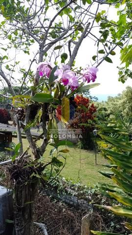 Lote en venta Tolima Ibagué Martinica 164 m2 Habitaciones 0 Baños 4 Garajes 1 Precio $370000000