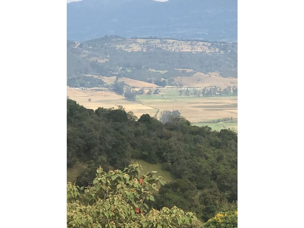 Lote en venta Cundinamarca Sopó Sopó 1856 m2 Habitaciones 0 Baños 10 Garajes 1 Precio $560000000