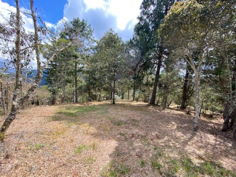 Lote en venta Antioquia Envigado Envigado 0 m2 Habitaciones 0 Baños 10 Garajes 1 Precio $2002000000