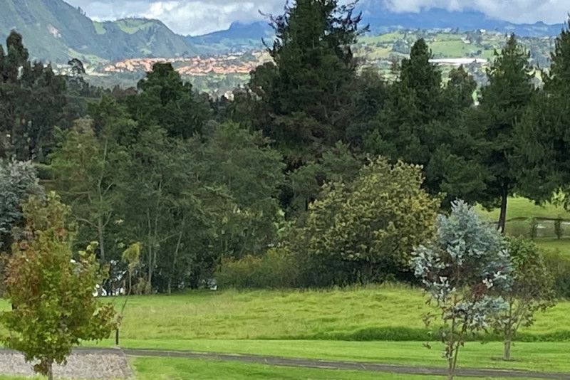 Lote en venta Cundinamarca La Calera La Plazuela 0 m2 Habitaciones 0 Baños 0 Garajes 0 Precio $1300000000