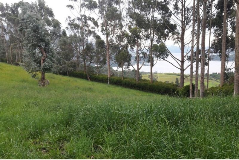 Lote en venta Cundinamarca Cogua Cogua 0 m2 Habitaciones 0 Baños 0 Garajes 0 Precio $650000000