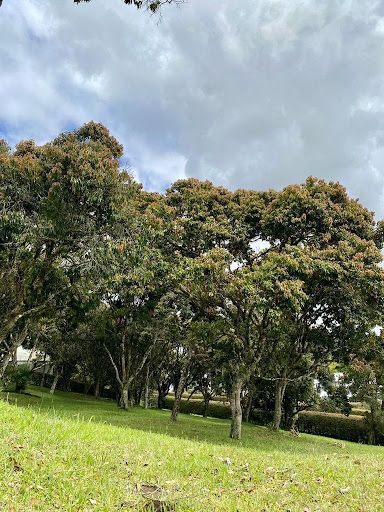 Lote en venta Antioquia Rionegro Gualanday 3400 m2 Habitaciones 0 Baños 0 Garajes 0 Precio $1750000000