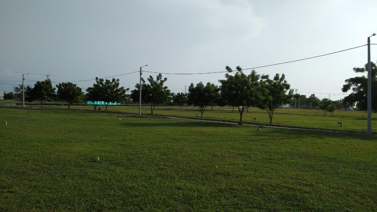 Lote en venta Atlántico Baranoa Piñique 0 m2 Habitaciones 0 Baños 10 Garajes 1 Precio $130000000