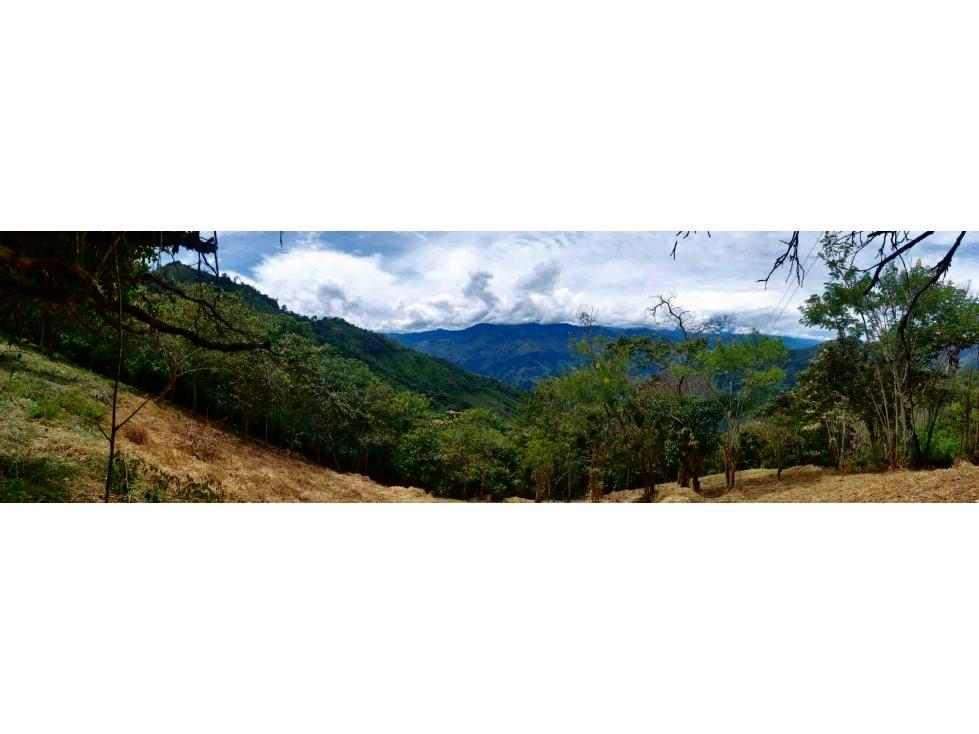 Lote en venta Antioquia Titiribí Otramina 4200 m2 Habitaciones 0 Baños 10 Garajes 1 Precio $294000000