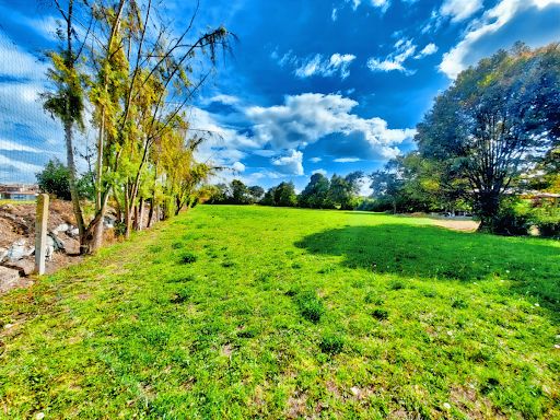 Lote en venta Cundinamarca Cajicá Vda Canelon 7900 m2 Habitaciones 0 Baños 0 Garajes 0 Precio $8300000000