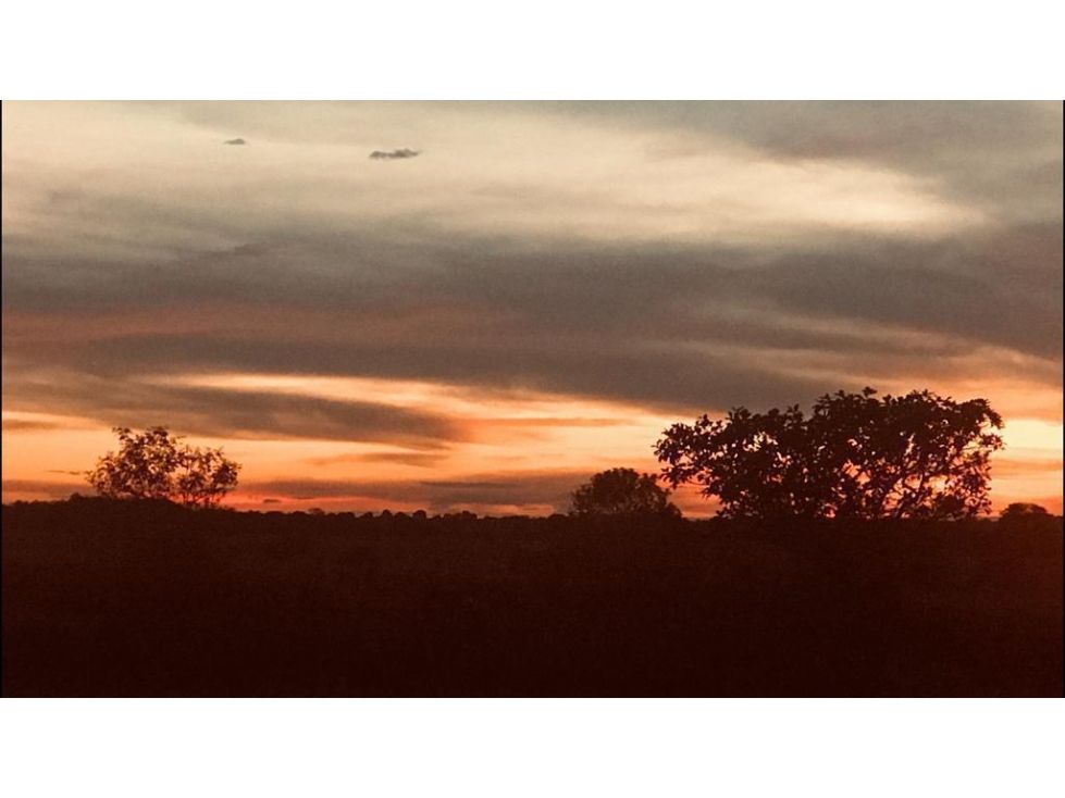 Lote en venta Meta Puerto López Nueve De Abril 3300 m2 Habitaciones 0 Baños 10 Garajes 1 Precio $250000000