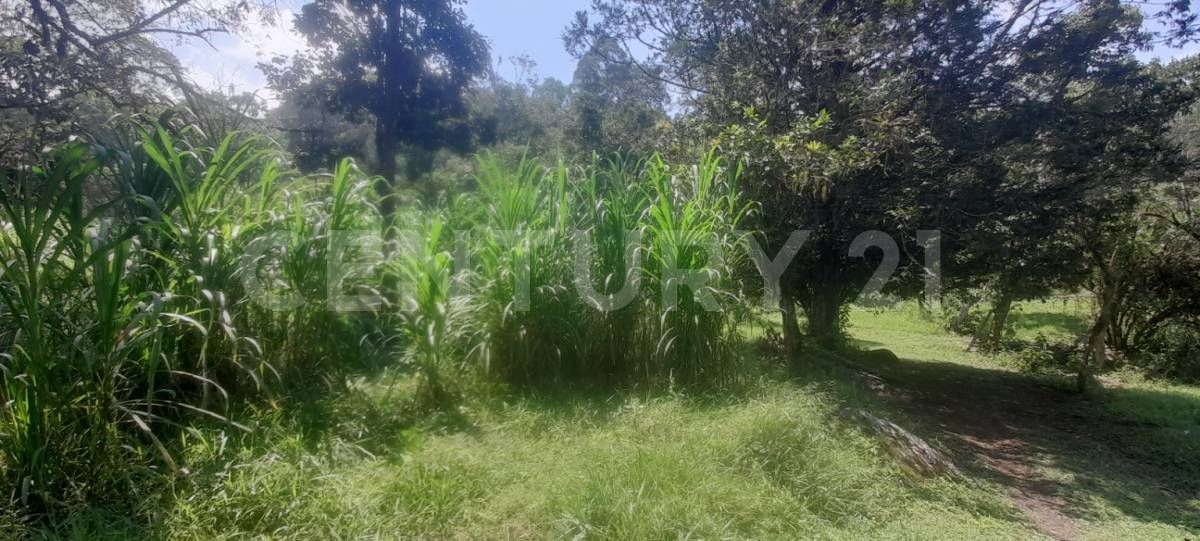 Finca en venta Cundinamarca San Francisco San Francisco 33000 m2 Habitaciones 1 Baños 1 Garajes 0 Precio $1250000000