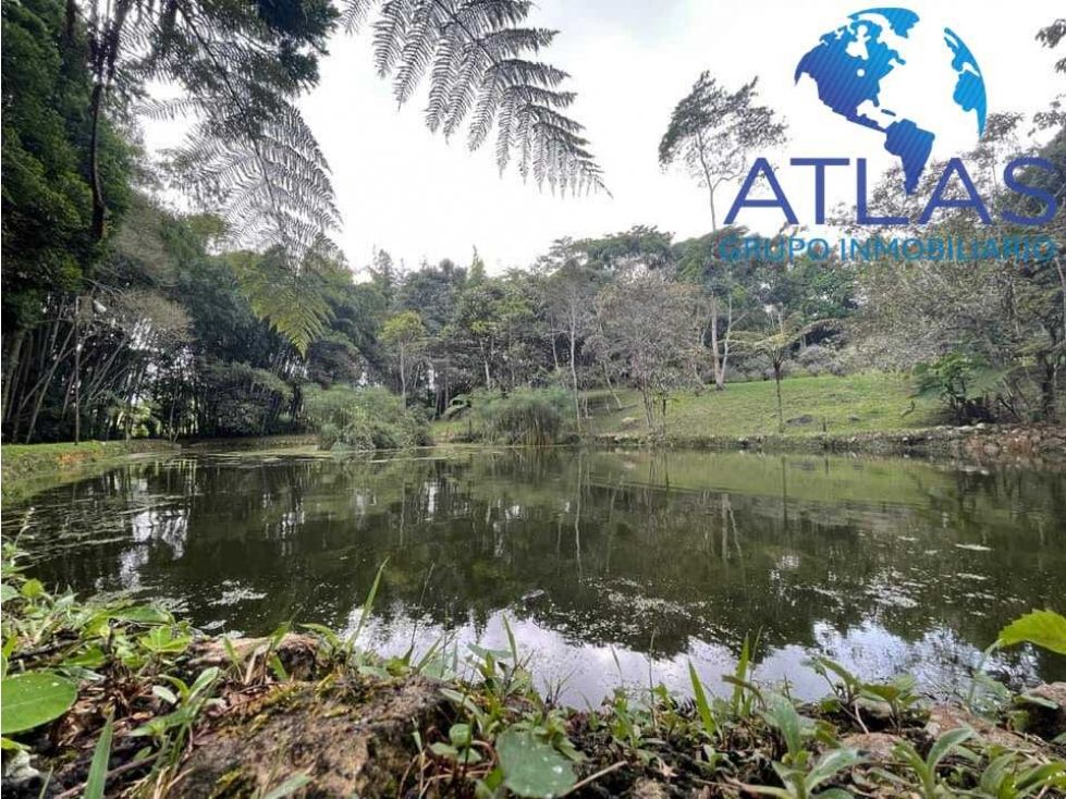 Casa Campestre en venta Santander Los Santos Los Santos 300 m2 Habitaciones 5 Baños 3 Garajes 2 Precio $1450000000