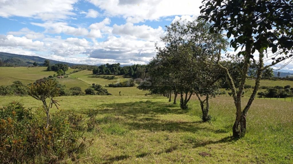 Lote en venta Boyacá Paipa Paipa 0 m2 Habitaciones 0 Baños 10 Garajes 1 Precio $385000000