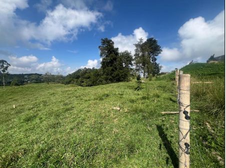 Lote en venta Risaralda Pereira Gualanday 1000 m2 Habitaciones 0 Baños 10 Garajes 1 Precio $110000000