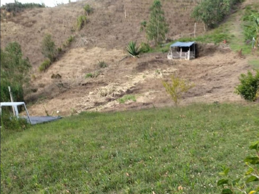 Finca en venta Antioquia San Vicente San Vicente 5100 m2 Habitaciones 2 Baños 0 Garajes 1 Precio $230000000