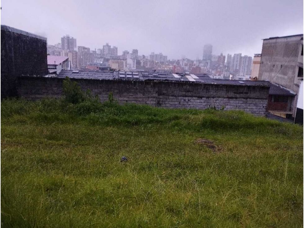 Lote en venta Caldas Manizales Alta Suiza 385 m2 Habitaciones 0 Baños 0 Garajes 0 Precio $750000000