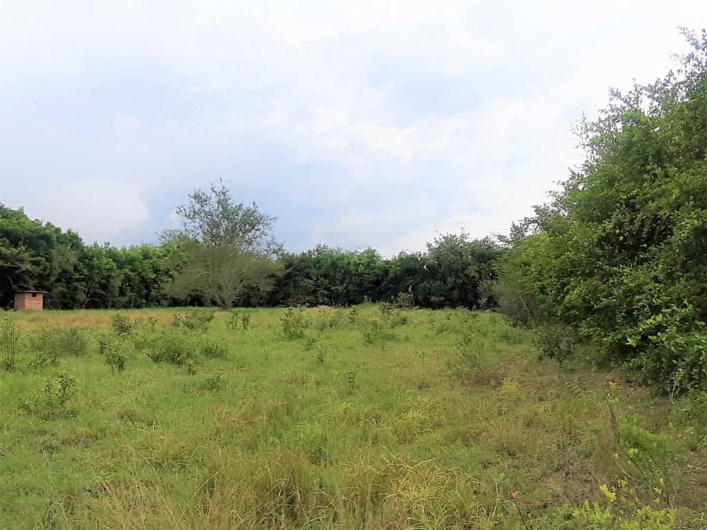 Lote en venta Valle Del Cauca Ginebra Ginebra 0 m2 Habitaciones 0 Baños 0 Garajes 0 Precio $1057650000