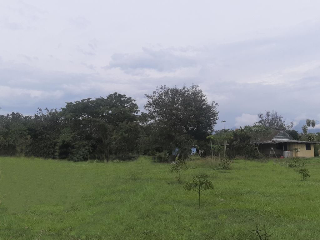 Lote en venta Valle Del Cauca Ginebra Ginebra 120 m2 Habitaciones 0 Baños 2 Garajes 0 Precio $700000000