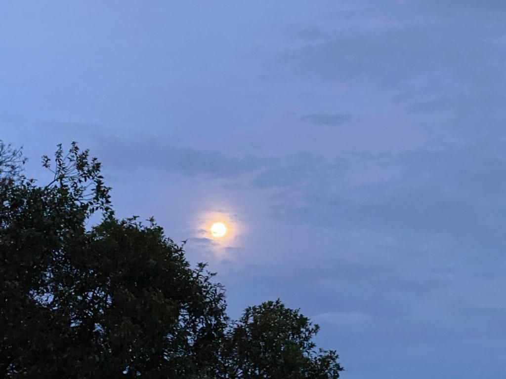 Lote en venta Valle Del Cauca Yumbo Yumbo 0 m2 Habitaciones 0 Baños 0 Garajes 0 Precio $300000000