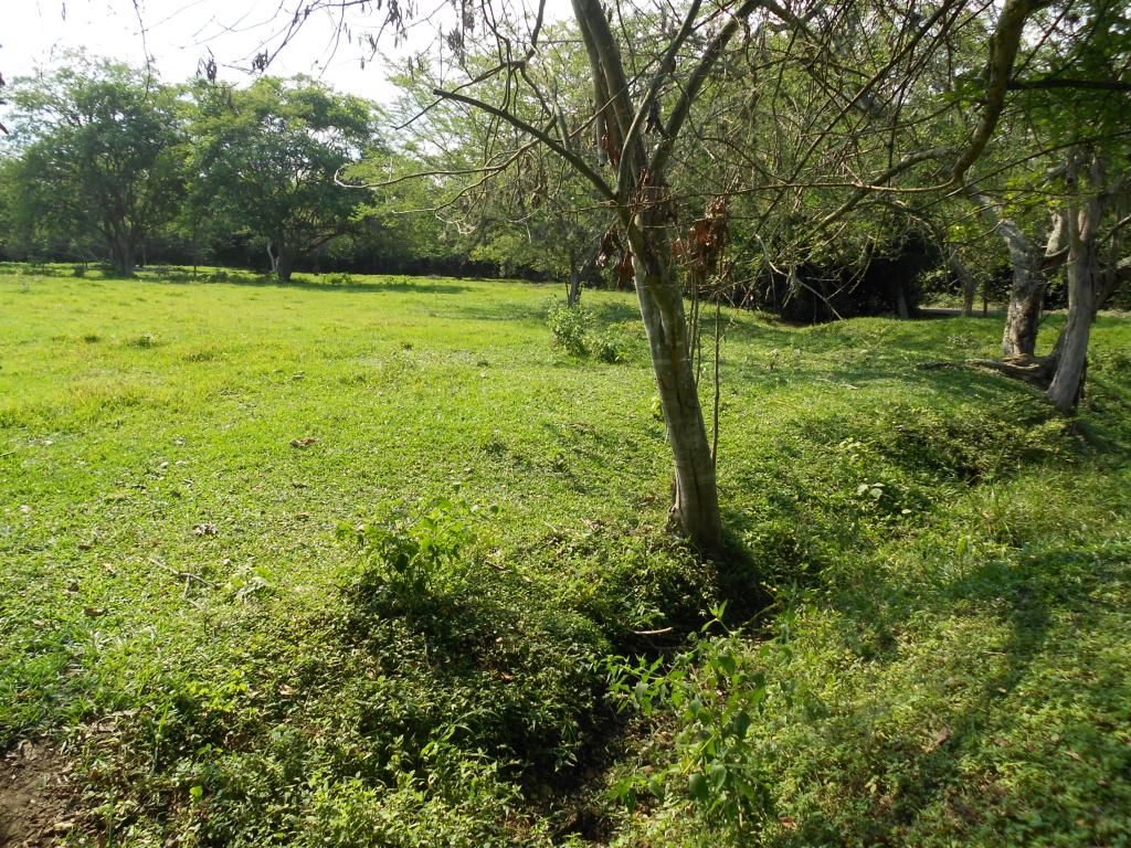 Lote en venta Valle Del Cauca Cali Cali 0 m2 Habitaciones 0 Baños 0 Garajes 0 Precio $6240000000