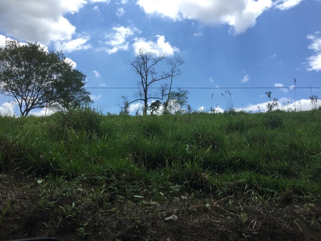 Finca en venta Cauca Piendamó Piendamó 300 m2 Habitaciones 4 Baños 3 Garajes 10 Precio $3600000000