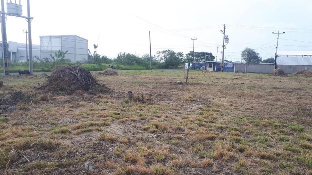 Lote en venta Valle Del Cauca Palmira Palmira 0 m2 Habitaciones 0 Baños 10 Garajes 1 Precio $600000000