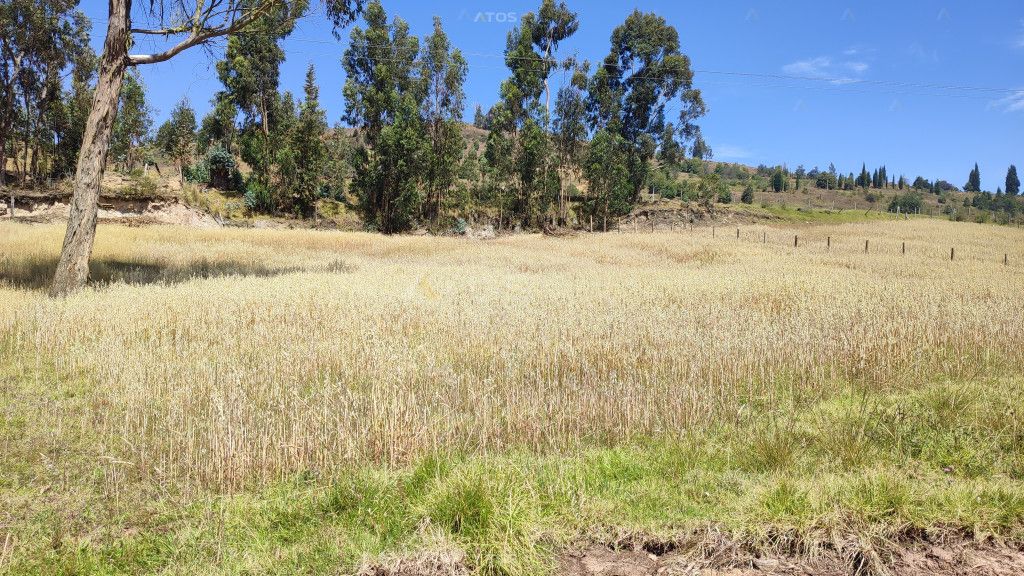 Lote en venta Boyacá Oicatá Oicatá 0 m2 Habitaciones 0 Baños 10 Garajes 1 Precio $357490000