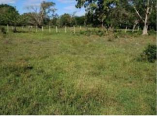 Lote en venta Tolima Purificación Purificación 0 m2 Habitaciones 0 Baños 0 Garajes 0 Precio $1194570000