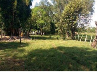 Lote en venta Tolima Purificación Purificación 0 m2 Habitaciones 0 Baños 0 Garajes 0 Precio $233550000