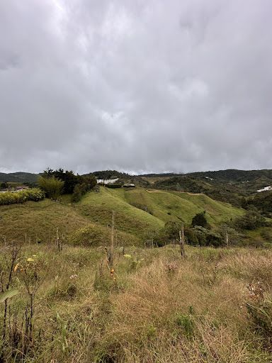 Lote en venta Risaralda Santuario Santuario 1 m2 Habitaciones 0 Baños 10 Garajes 1 Precio $380000000