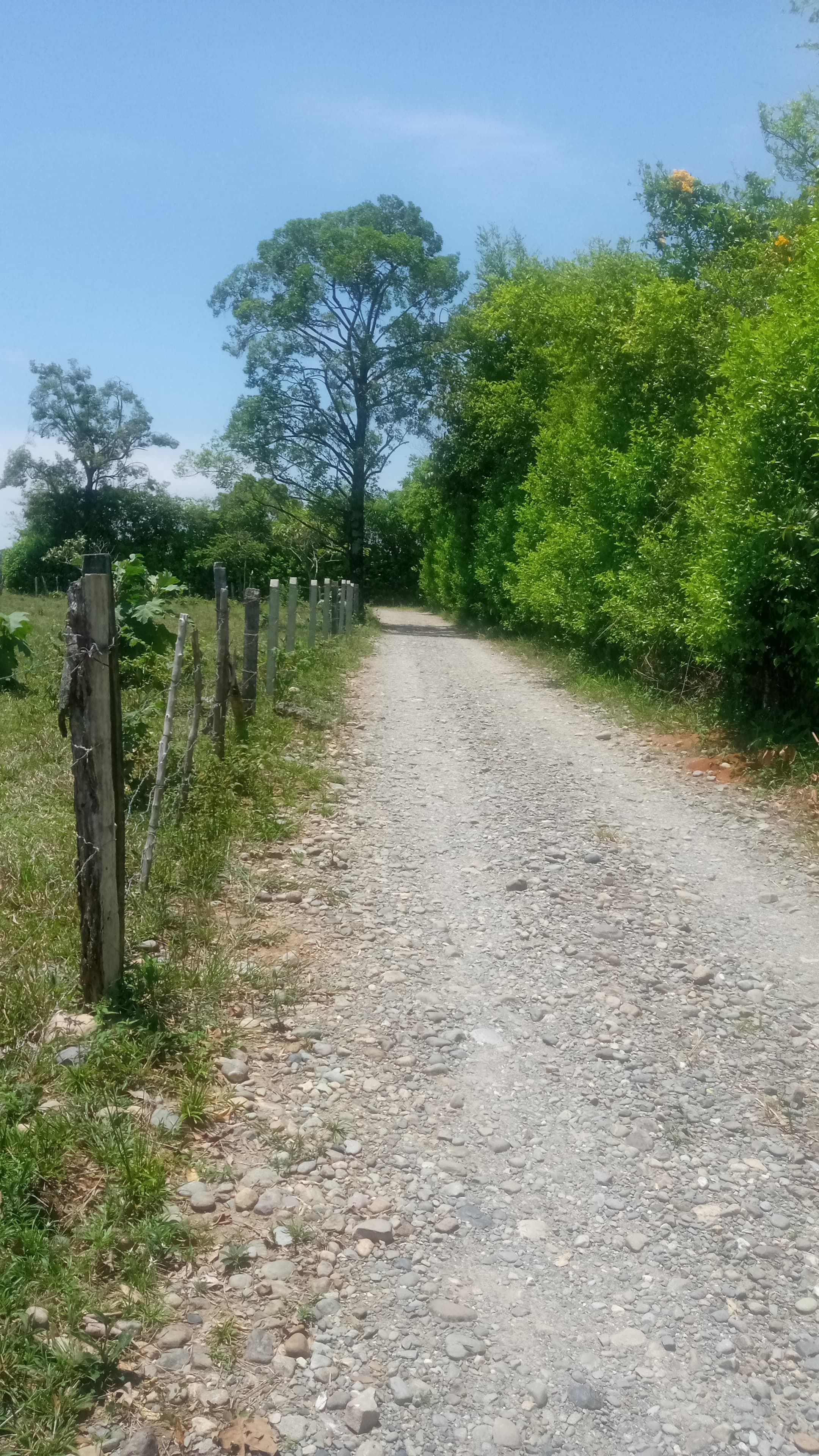 Lote en venta Meta Acacías Las Acacias 10000 m2 Habitaciones 0 Baños 10 Garajes 1 Precio $380000000