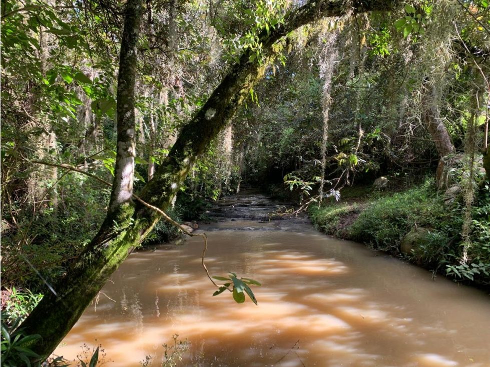 Lote en venta Boyacá Villa De Leyva Villa De Leyva 19061 m2 Habitaciones 0 Baños 0 Garajes 0 Precio $1900000000
