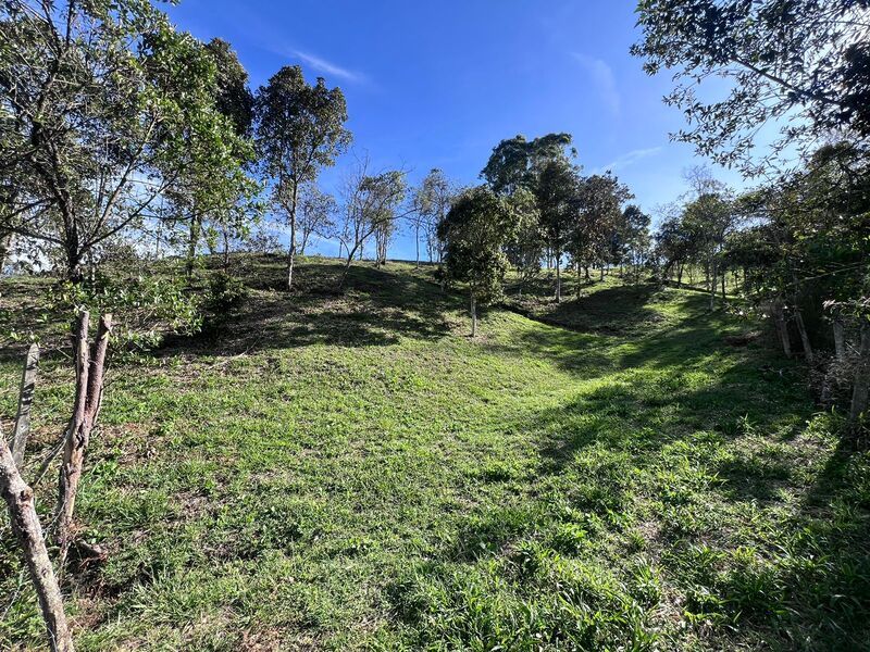 Lote en venta Antioquia Guarne Guarne 8100 m2 Habitaciones 0 Baños 10 Garajes 1 Precio $1053000000