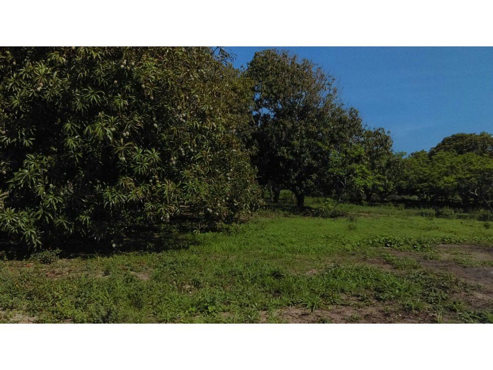 Finca en venta Atlántico Malambo Malambo 75000 m2 Habitaciones 3 Baños 1 Garajes 0 Precio $895000000