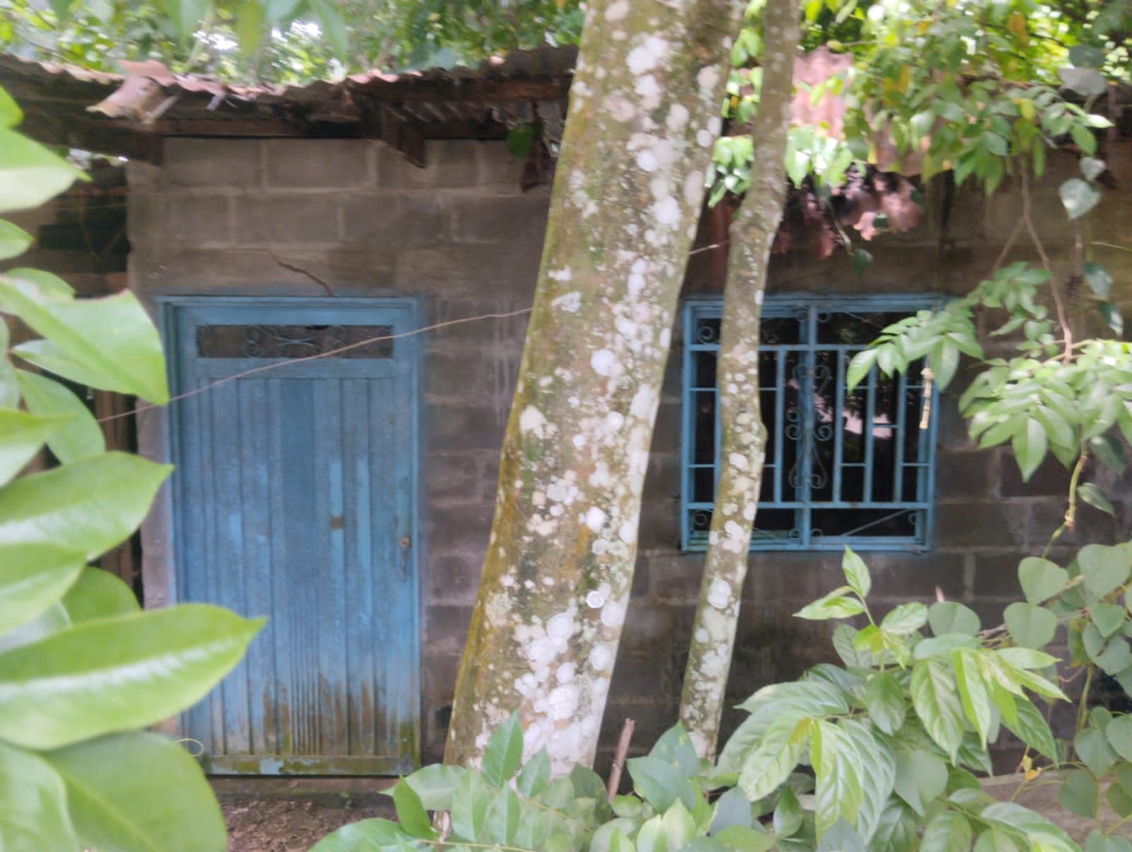 Lote en venta Antioquia Cáceres La Gloria 658 m2 Habitaciones 0 Baños 1 Garajes 1 Precio $60000000