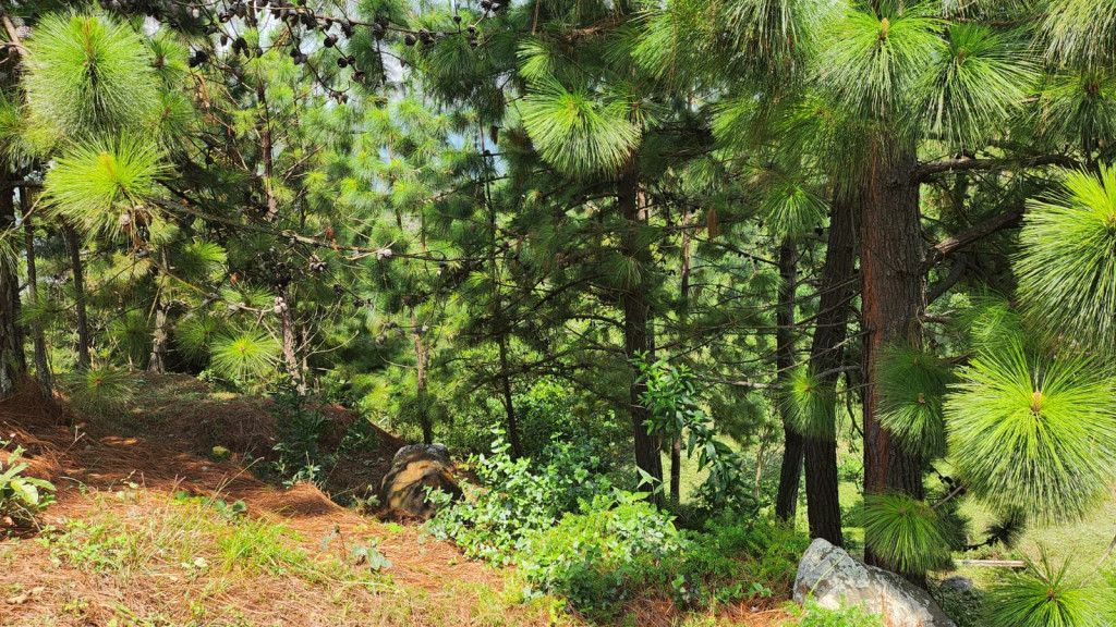 Lote en venta Bolívar Altos Del Rosario Altos Del Rosario 0 m2 Habitaciones 0 Baños 0 Garajes 0 Precio $790000000