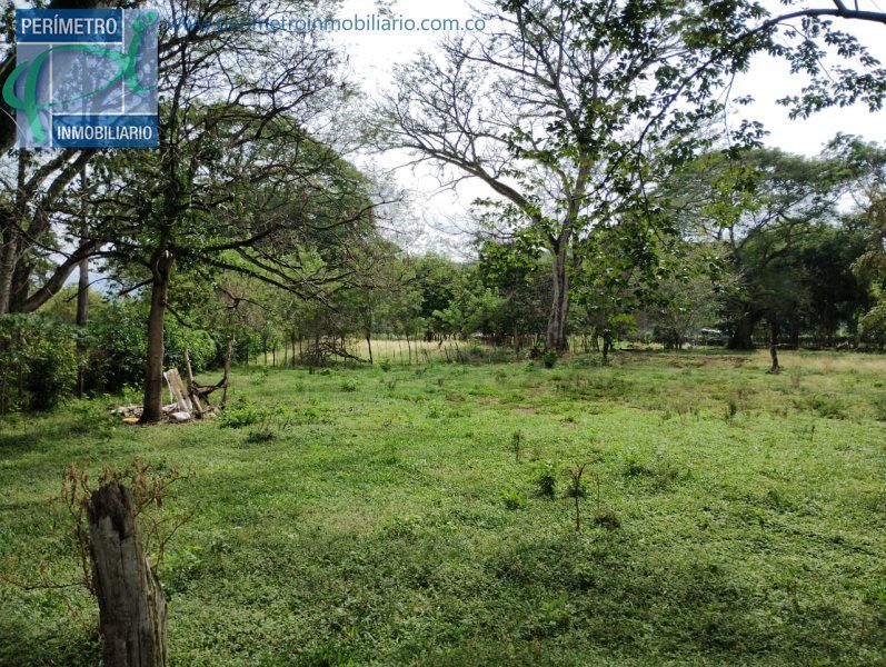 Lote en venta Antioquia Santafé De Antioquia Santafé De Antioquia 19120 m2 Habitaciones 0 Baños 0 Garajes 0 Precio $1200000000