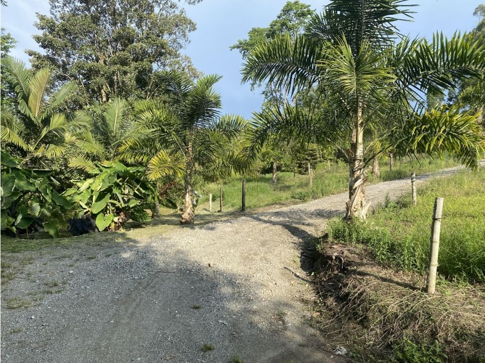 Lote en venta Caldas Manizales Manizales 2338 m2 Habitaciones 0 Baños 0 Garajes 0 Precio $750000000