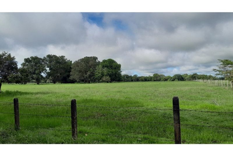 Finca en venta Meta San Martín San Martin 11500 m2 Habitaciones 0 Baños 0 Garajes 5 Precio $3500000000