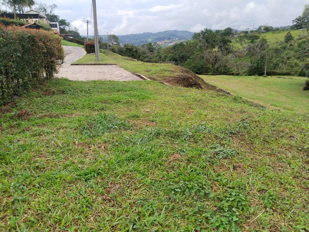 Lote en venta Boyacá Moniquirá Moniquira 0 m2 Habitaciones 0 Baños 0 Garajes 0 Precio $205000000