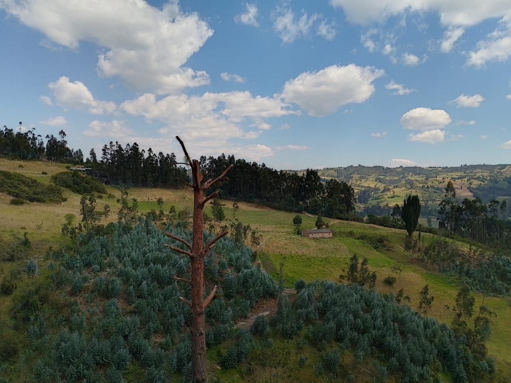 Lote en venta Boyacá Sotaquirá Sotaquira 0 m2 Habitaciones 0 Baños 0 Garajes 0 Precio $90000000