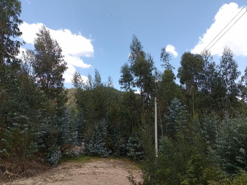 Lote en venta Boyacá Sotaquirá Sotaquira 0 m2 Habitaciones 0 Baños 0 Garajes 0 Precio $90000000