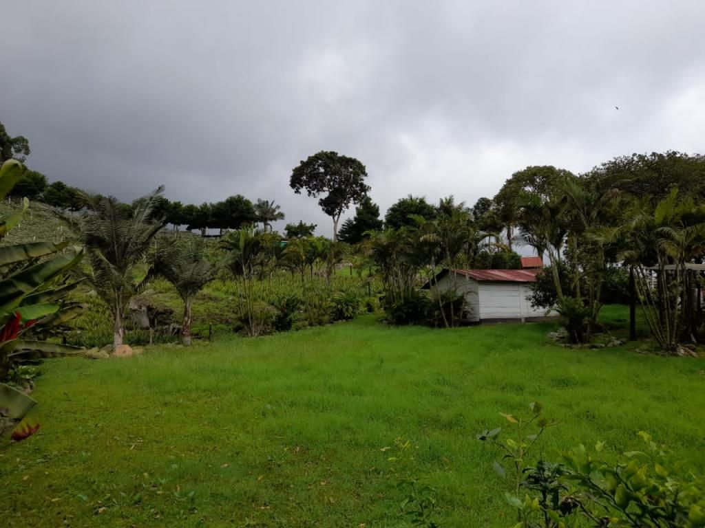 Finca en venta Cundinamarca La Mesa La Mesa 6800 m2 Habitaciones 4 Baños 2 Garajes 1 Precio $3500000000