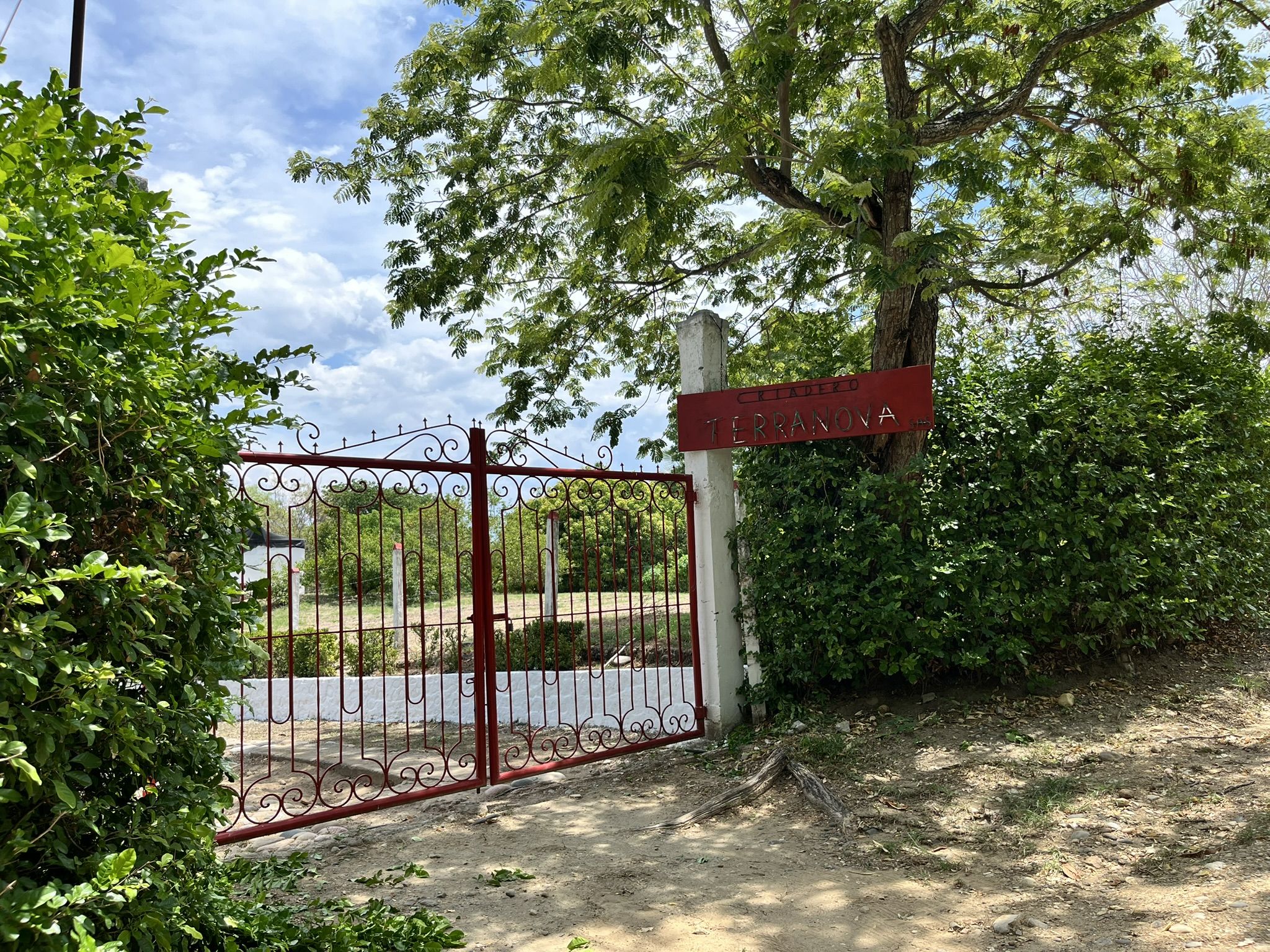 Casa Campestre en venta Huila Palermo Condominio Campestre Llanos De Vimianzo 10000 m2 Habitaciones 6 Baños 6 Garajes 6 Precio $1500000000