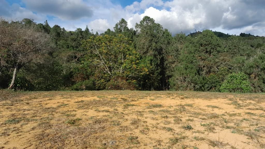 Lote en venta Antioquia Guarne Guarne 3800 m2 Habitaciones 0 Baños 0 Garajes 0 Precio $550000000