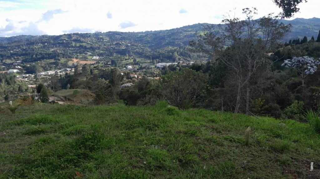 Lote en venta Antioquia Guarne Guarne 4600 m2 Habitaciones 0 Baños 0 Garajes 0 Precio $780000000